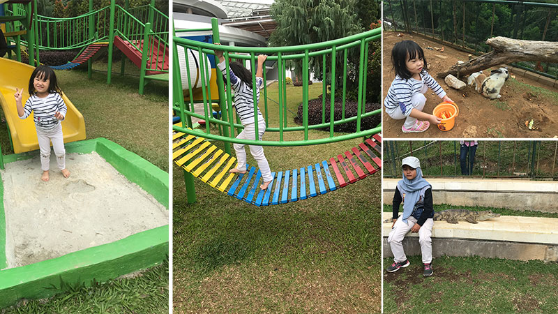 playground-peeting-garden