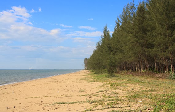 Selimpai Paloh beach