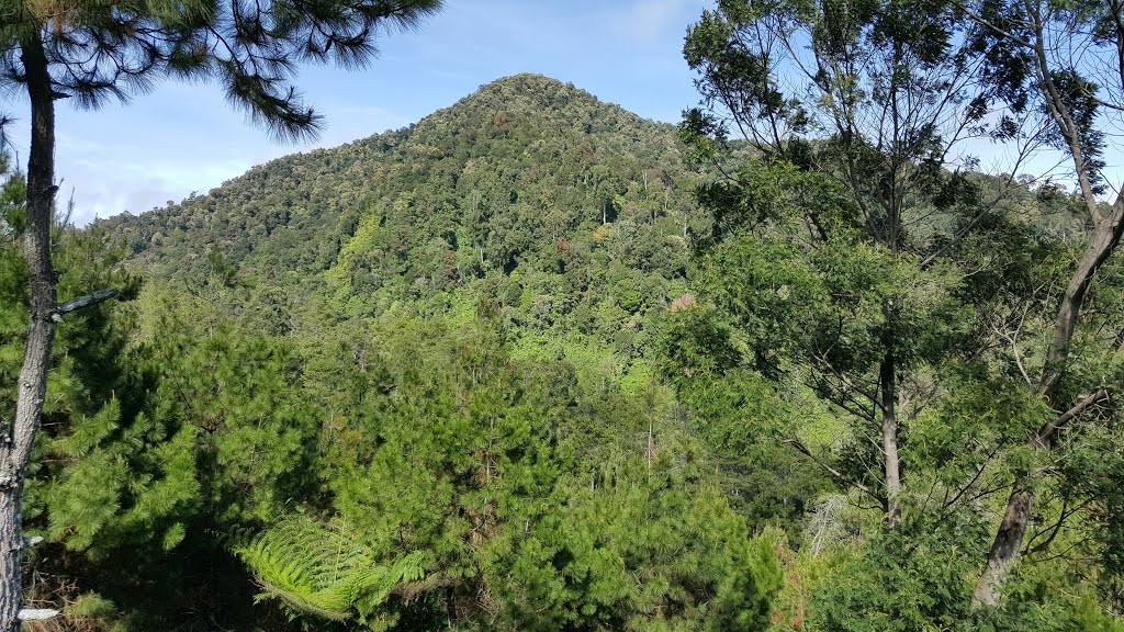 view from patuha resort