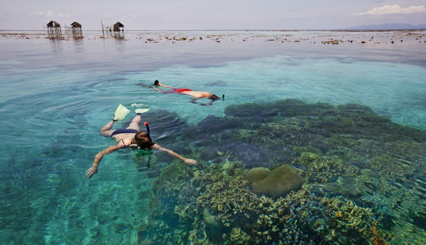 5_spot_snorkeling_sulawesi_pic_2