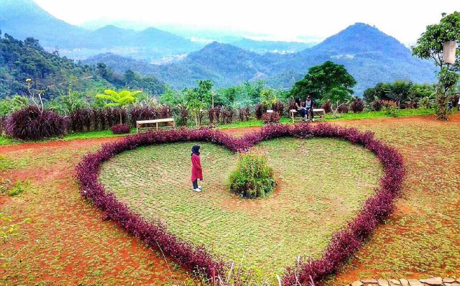 Barusen Hills Taman  Cinta Penuh Bunga  Yang Lagi Hits Di 