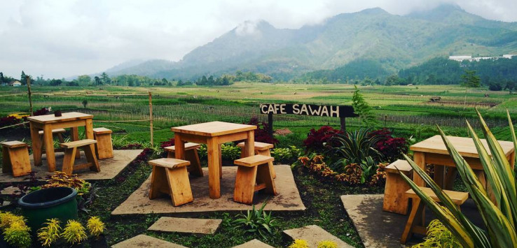 cafe-sawah-pujon